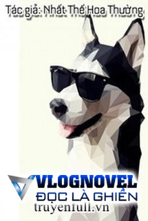 Tháng Ngày Giữ Mạng Bên Người Husky