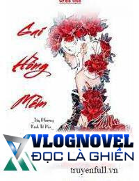 Hoa hồng mềm gai
