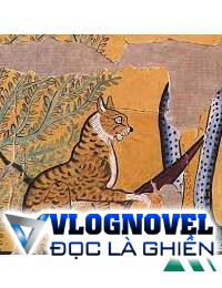 Mèo Con Trên Đại Thảo Nguyên