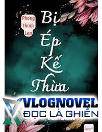 Bị Ép Kế Thừa Lão Bà