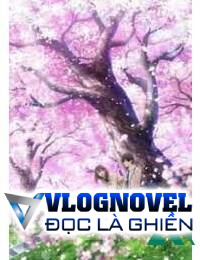 Hiểu Lầm Định Mệnh