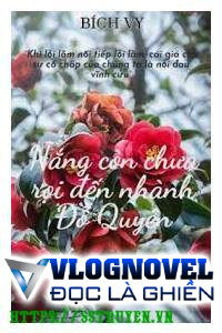 Nắng Còn Chưa Rọi Đến Nhành Đỗ Quyên